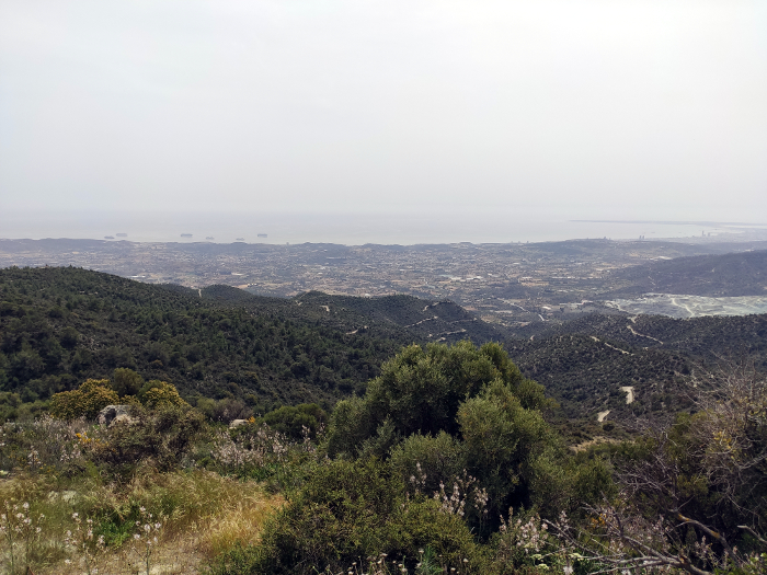 Viewpoint